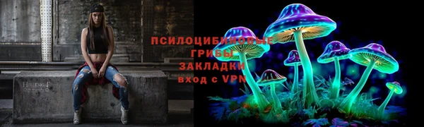 Альфа ПВП Валдай